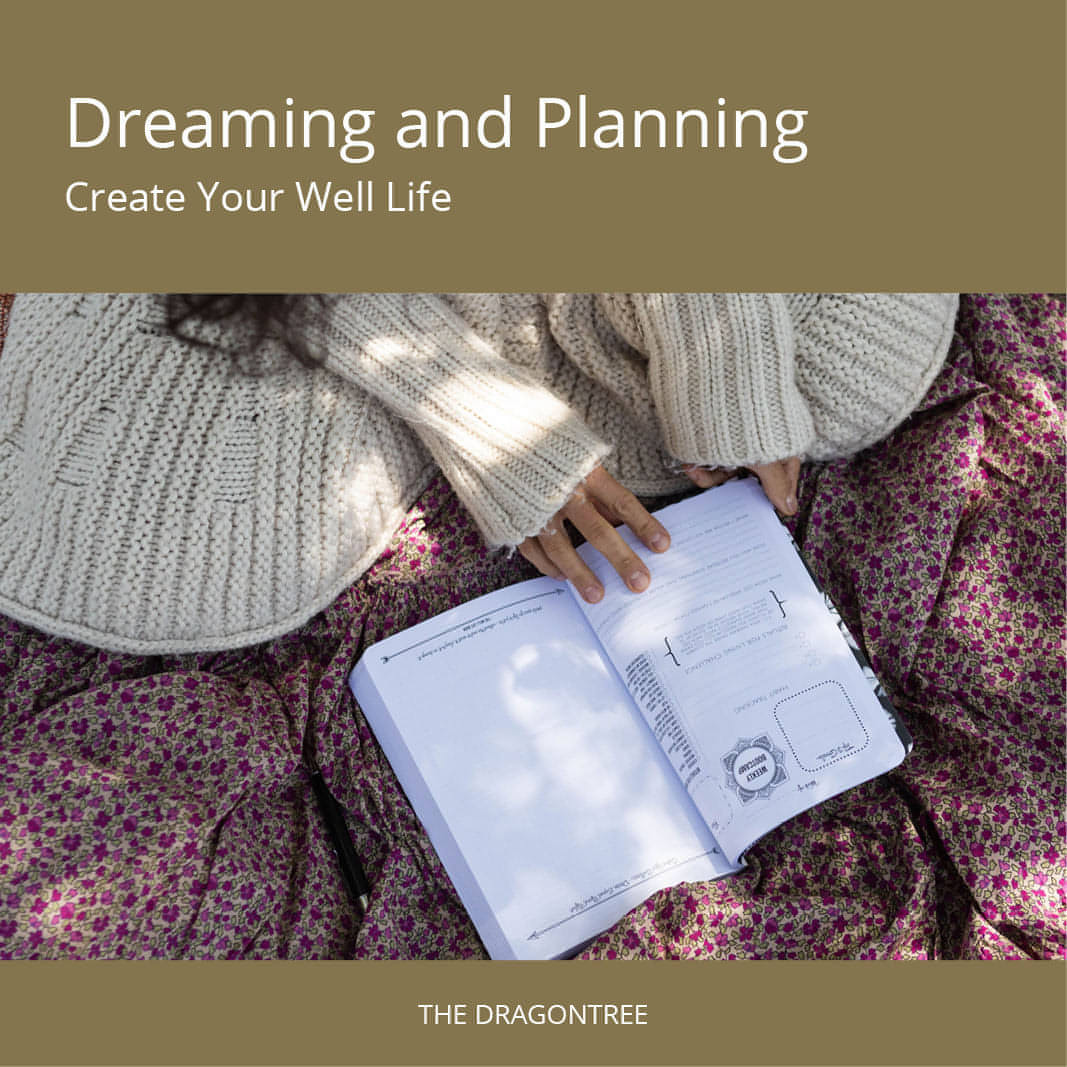 Online Course - Getting the Most Out of Your Dreambook+Planner