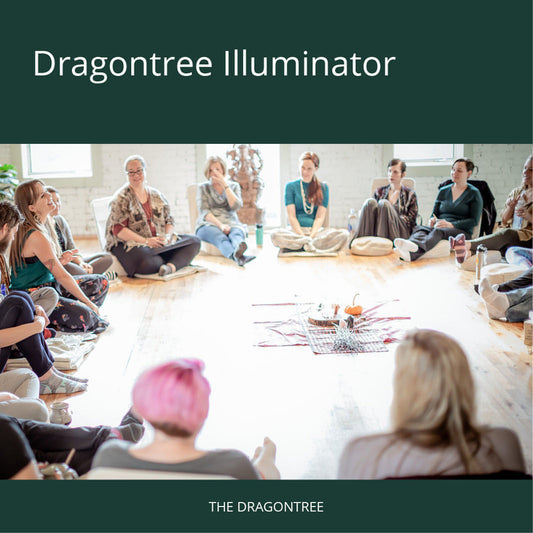 Dragontree Illuminator Program