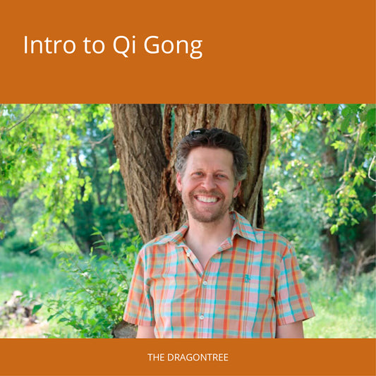 Online Course - Introduction to Qi Gong