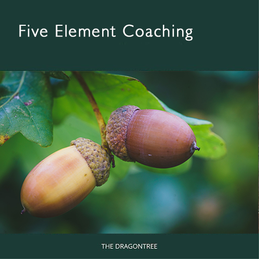 Five Element Coaching